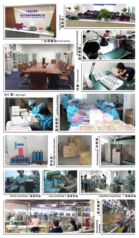 Verified China supplier - Shenzhen Laipute Industrial Co., Ltd.