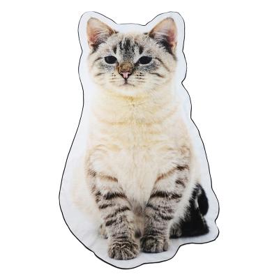 China Luxury QUICK DRY Cat Luxury Custom Cute Animal Shape Cartoon Print Irregular Towel For Kids for sale