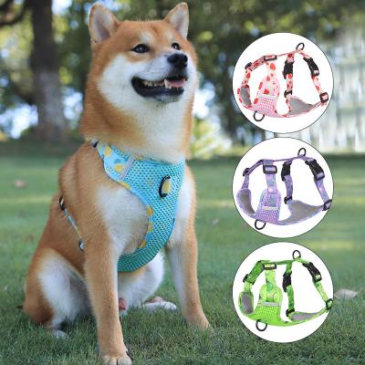 China Personalized 2023 New Style Fruit Printing Dog Vest Harness Adjustable Custom Dog Harness Set for sale