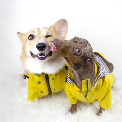 China Sustainable Wholesales New High Quality Pet dog clothes Yellow dog Pet Jacket raincoat windproof luxury pet dog raincoat with private bra for sale