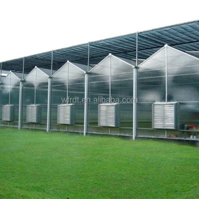 China Vegetable Fruits Flowers multiwall  hollow sheet polycarbonate tunnel greenhouse serre en panel for sale