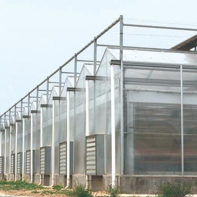 China Vegetable Fruits Flowers agricultural outdoor vegetable polycarbonate panels aluminum frame greenhouse parts for sale