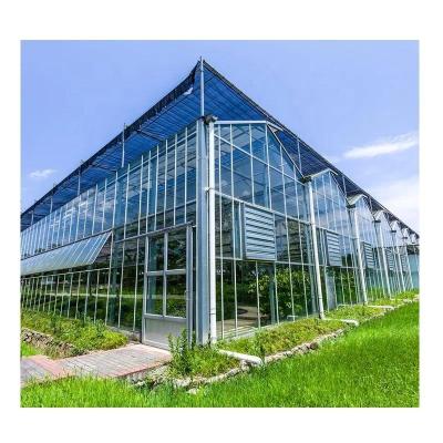 China Vegetable Fruits Flowers large agricultural multi-span glass greenhouse for sale