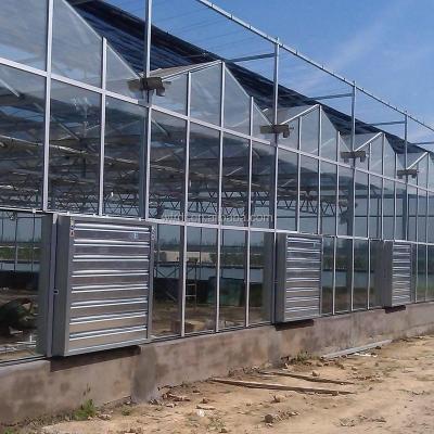 China Vegetable Fruits Flowers large span green house venlo multi-span glass greenhouse price of m2 agricultural greenhouse for sale