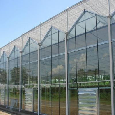 China Vegetable Fruits Flowers professional luxury modern diffuse hydroponic vegetable planting glass greenhouse for sale