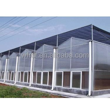 China Vegetable Fruits Flowers chinese multi-span film polycarbonate geo dome greenhouses kits commercial fully equipped for sale