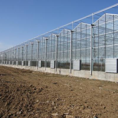 China Vegetable Fruits Flowers large scale agricultural greenhouses polycarbonate panels transparent for sale