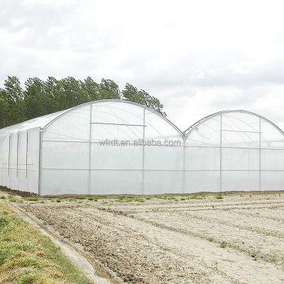 China Vegetable Fruits Flowers 200 micron plastic film uv resistant multi span greenhouse for sale