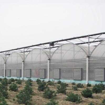 China Vegetable Fruits Flowers low cost modern used greenhouses parts for sale for sale