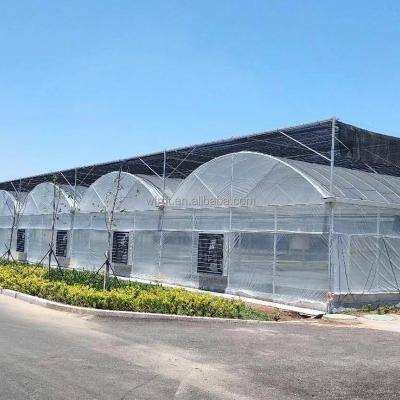 China Vegetable Fruits Flowers used climate control commercial vegetable greenhouses equipment sale online for sale