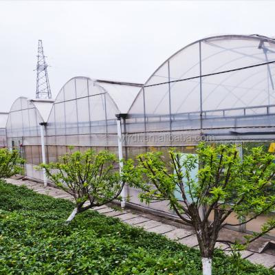 China Vegetable Fruits Flowers hydroponic tomato greenhouses  accessories for plants for sale