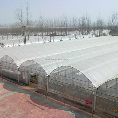 China Vegetable Fruits Flowers outdoor full spectrum plant growth lamp geodesic dome greenhouse frame for sale