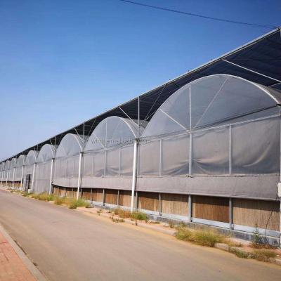 China Vegetable Fruits Flowers chinese style pepper polythene sheet greenhouse for sale