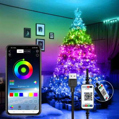 China Dreamcolor Indoor Outdoor USB Plu RGB Remote Control Dreamcolor Dreamcolor Lamp Decoration IP65waterproof IP65waterproof IP65waterproof Christmas Tree Holiday Fairy Light for sale