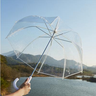 China Country Factory Custom LOGO Apollo arch PVC transparent umbrella children adult gift mushroom umbrella for sale