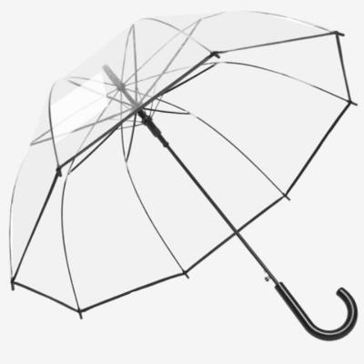 China American Style Transparent umbrella for adult women with black edge POE thickened fabric can be printed LOGO umbrella for gift for sale