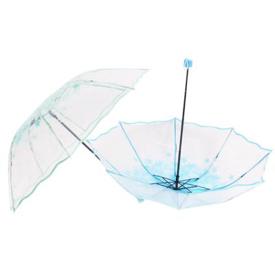 China All in 1 Eco-friendly poe bubble clear umbrella windproof travel umbrella for sale