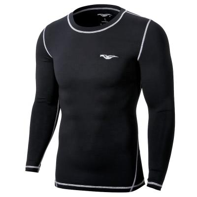 China Wholesale Custom Cycling Windproof T-shirt QINGLONGLIN Sports Long Sleeve Tops GYM Workout Crew Compression Shirts For Men for sale