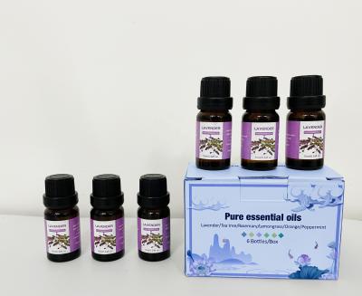 China 6 Lavender Essential Oil Essential Oil 10ml Bottle Suitable For Humidifier Aromatherapy Machine Pure Essential Oil for sale