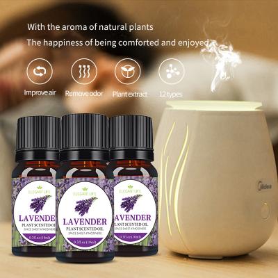 中国 Household 10ml bottle of lavender essential oil suitable for humidifier aromatherapy machine pure essential oil 販売のため