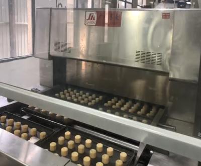 China De industriële Productielijn van de de Maancake van 150g 90g Automatische 220V/380V Te koop