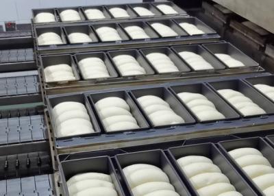 China Sourdough contínuo Proofer à venda