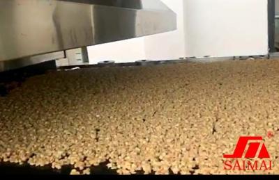 China CE cadena de producción del Granola de 1000 del Kg/H copos de maíz del cereal en venta