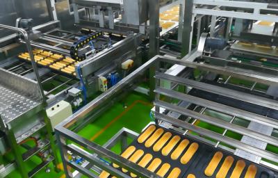 China CE Sourdough Bread Production Line for sale