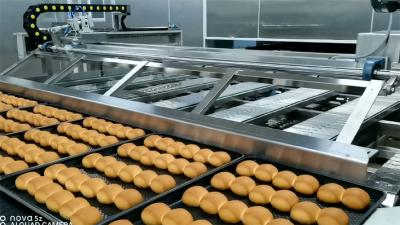 China Van het de Isolatiebaksel van ISO9000 25cm de Productielijn van het de Tunnelgebakje Te koop