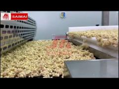 Baking Grain Production Line,Oatmeal,Corn Flakes Production Line