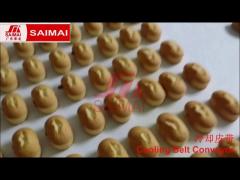 Mini Cake, Cup Cake, Mould Cake Production Line,Cake Depositor, Cookie Depositor,