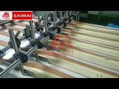 Automatic Mini Roll / Cake Dry and Layer Cake Production Line,