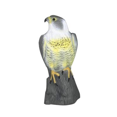 China Realistic Simulation Hawk Hunting Decoy, Hawk Decoy Bird Repellent Scarecrow for sale