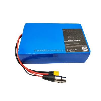 China Long Rear Rack Cycles Ebike Li-ion Battery 24V 15ah LiFePO4 Lithium Battery Pack for sale