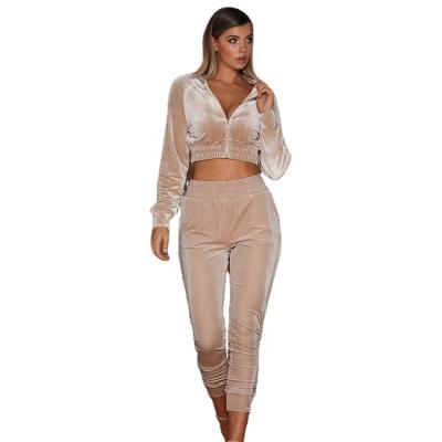 China Hot Selling Cheap Price Women's Velvet Breathable Zipper Up Cropped Sport Suit Women Jogging Sport Wear 2 Piece Set Set for sale