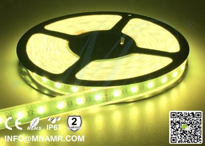 China Hot Sale Do-it-yourself RGBW Flexible LED Strip Lights 12V/24VDC Waterproof IP67 for sale