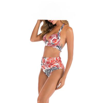 China Plus Size Breathable Female Bikini Set Breathable Halter Swimwear Woman Swimsuit Women Plus Size Bikini S-3XL Floral Print Swimwear New for sale