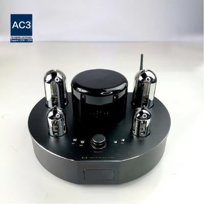 China Home Speaker Mini Compact Desktop Tube Amplifier Perfect Healthy Product Use for sale