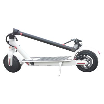 China Price unisex india morocco price with pricefat tire2019 electric scooter for sale