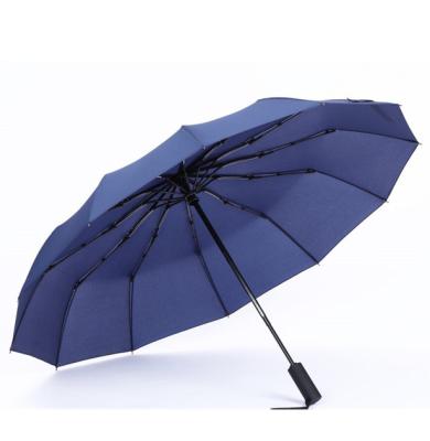 China Promotional Custom Logo Umbrella Special Eco - Friendly Material Automatic Umbrella for sale