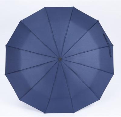 China Special Customized 10 Ribs Promotion Umbrella Wholesale High Quality Convenient Storage Automatic Umbrella for sale