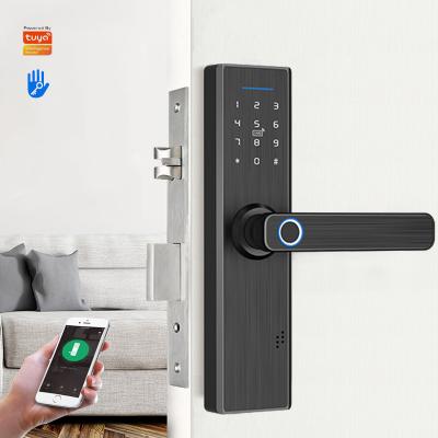 China Guangdong High Security Basic Track Fingerprint Handle Electronic Smart Door Tuya Digital Door Locks for sale