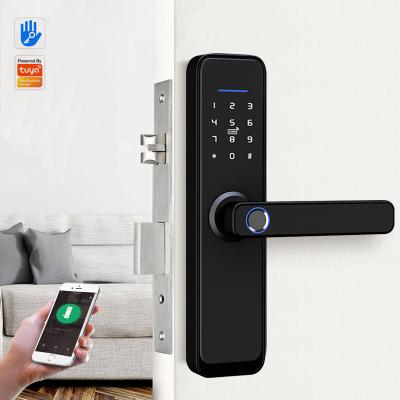 China Home apartment style home double sided anti theft digital door ttlock smart wifi lock for sale