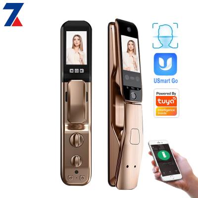 China Apartment Fashion Smart Gold Zinc Alloy New Face 3D Smart Fingerprint Door Lock for sale