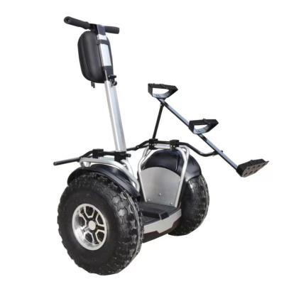 China 19 Inch Smart Smart Men Off Balance Electric Self Balance Scooter Road Cart Golf E Golf Cart Scooter for sale