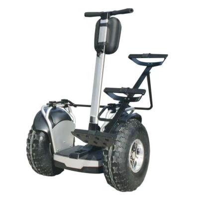 China 19 Inch Smart Smart Men Off Road Chariot Hover Board Golf E Electric Balance Scooter Two Wheel for sale