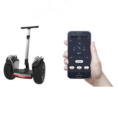 China Men Upgrade Eco-Rider 2400w 60v 2 Wheels Electric Chariot Electric Self Balancing Off-Road Scooter for sale