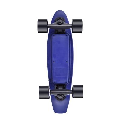 China Four fish models unisex fast dual motor small hub motor cheap electric skateboard for sale for sale