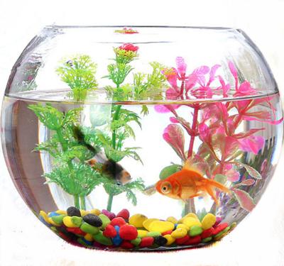 China Europe wholesale new design and high quality ball shaped planter and glass aquarium with different sizes for sale