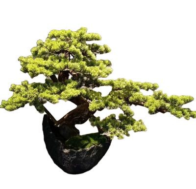 China Minimalist wholesale new design artificial bonsai pine tree with competitive price for sale